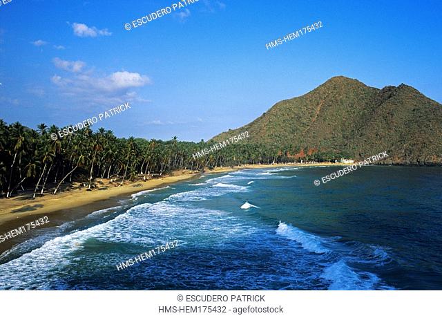 Venezuela, Aragua State, Henri Pittier National park, Choroni, beach and coconut trees