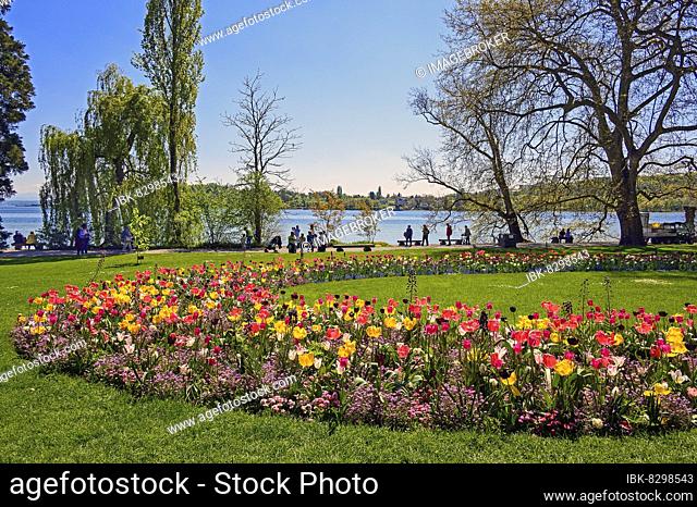 Circle bed with tulips Tulipa9 and tourists, Mainau Island, Lake Constance, Baden-Wüttemberg, Germany, Europe