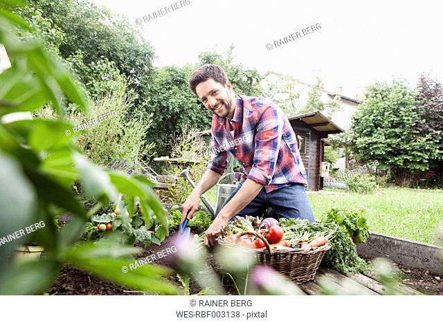 Man gardening in vegetable patch