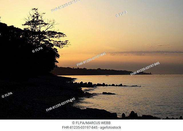 View of beach at high tide at sunset, Bembridge, Isle of Wight, England, june