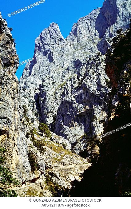 Walkers along the route of the Cares Canyon, in the Picos de Europa. National Park. Between the Urrieles and Andara massifs. Leon. Castilla-Leon