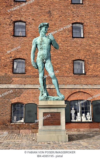 Statue of David by Michelangelo copy, in front of the Royal Cast Collection in the harbor, Copenhagen, Denmark