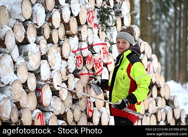PRODUCTION - 08 December 2023, Saxony, Bockau: Forest ranger Anne Borowski works in the snow-covered winter forest near Bockau in the Ore Mountains