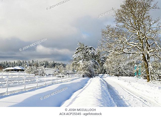 Deep winter snow covers this rural road in Central Saanich, near Victoria BC