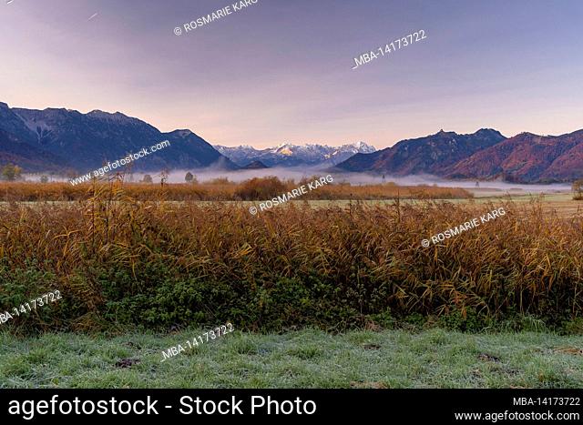 Fog over the Murnauer Moos near Ohlstadt with a view of the Ester Mountains, Wetterstein Mountains, Zugspitze and Alpspitze, near Murnau, Bavaria, Germany