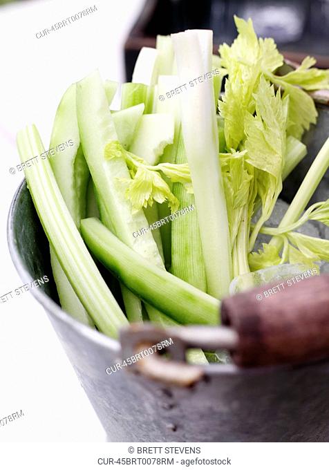 Close up of bucket of celery
