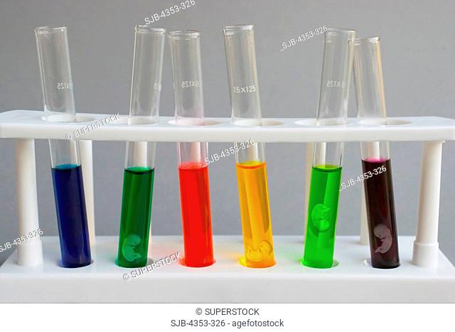 Colorful Array of Test Tube Babies