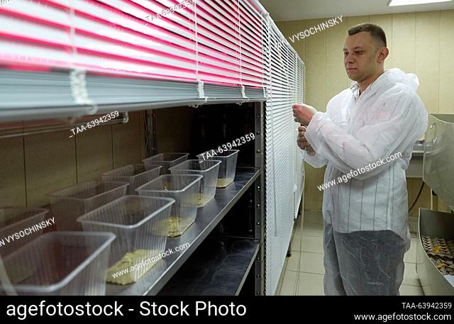 RUSSIA, STAVROPOL - OCTOBER 25, 2023: A worker checks on crickets on a RosEnergy cricket farm. RosEnergy is a Russian manufacturer of snacks, cricket powder