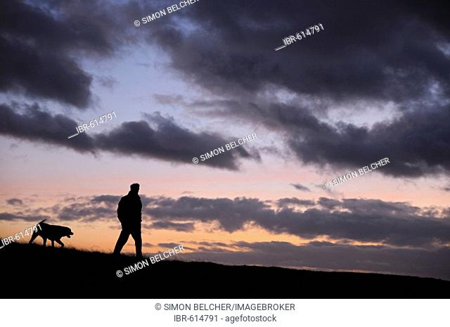 Man Walking His Dog Through a Field, Silhouetted by the Dusk Sky