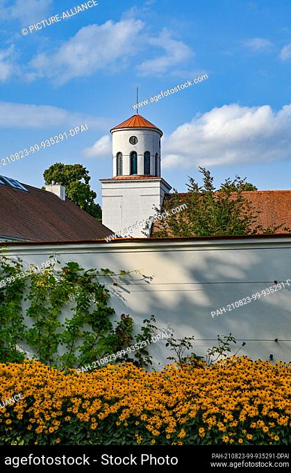 21 August 2021, Brandenburg, Neuhardenberg: Flowers are blooming on the wall to the garden of the Orangery of Neuhardenberg Palace and the Schinkel Church can...