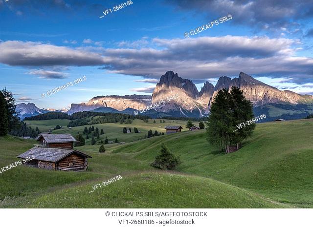 Alpe di Siusi/Seiser Alm, Dolomites, South Tyrol, Italy. The last rays of sun at the Alpe di Siusi/Seiser Alm. In the background the peaks of Sella
