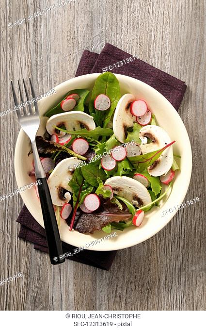 Lettuce with mushrooms and radishes