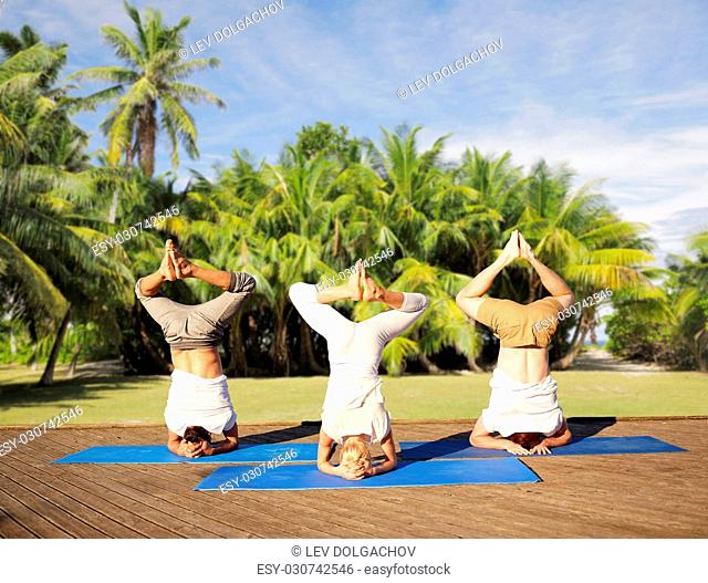 fitness, yoga and sport concept - people making headstand pose over natural background with palm trees
