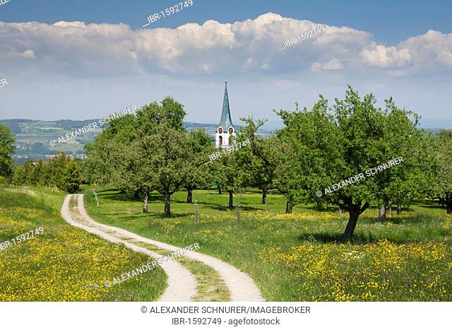 Barefoot path leading through the picturesque town of Welfensberg to Wuppenau, Baden-Wuerttemberg, Germany, Europe