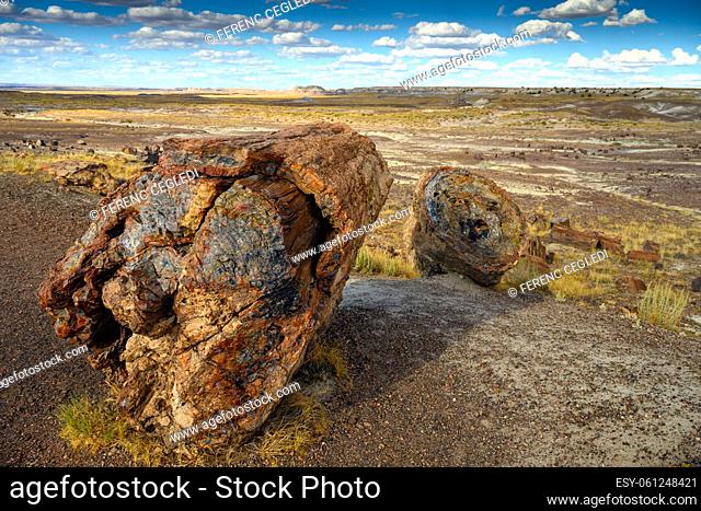 Petrified Forest National Park (fossils and large deposits of petrified wood from the late Triassic age) Arizona, USA