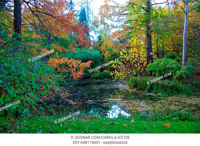 Ein Teich mit buntem Laub im Herbst