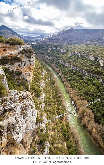 Viewpoint of the River Ebro Canyon near Pesquera de Ebro village, Paramos region, Burgos, Spain