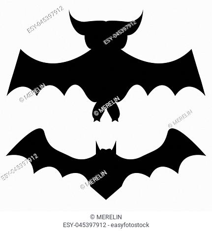 two bats silhouettes on white background vector illustration