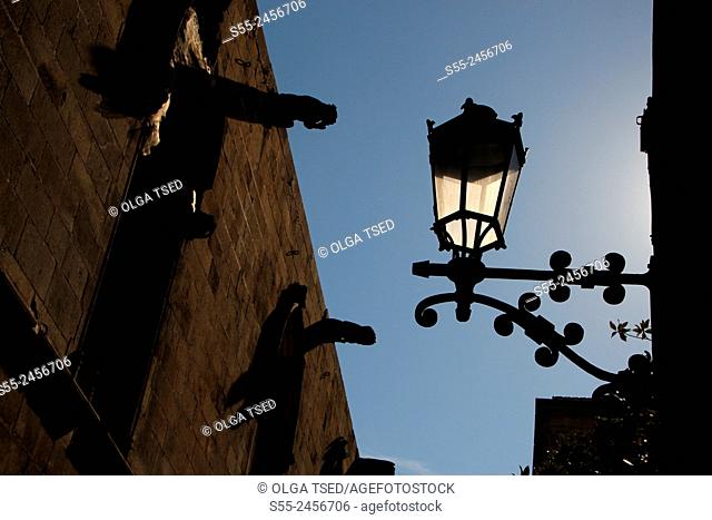 View of the Cathedral of Santa Eulalia and a streetlight in Barcelona in Gothic quarter, Catalonia, Spain