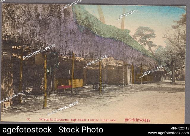 Wisteria blossoms Daitokuji Temple, Nagasaki. Pacific pursuits : Postcards Japan - Nagasaki. Place: Made in Japan Publisher: s.n