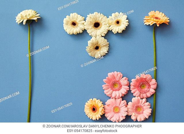 Figures from the game Tetris made from different gerberas on a blue paper background. Spring flower composition. Flat lay