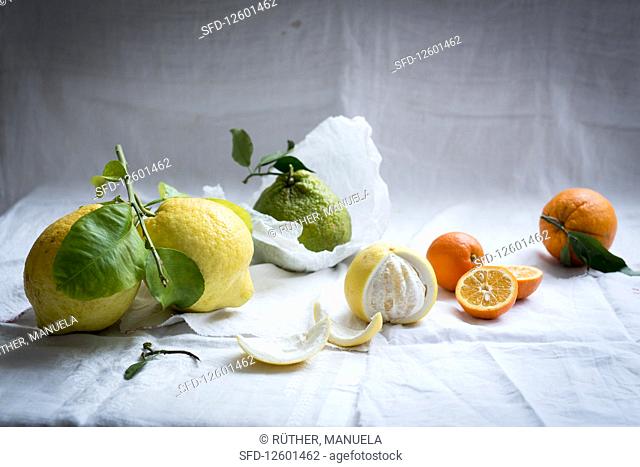 Citrons, tangerines and oranges