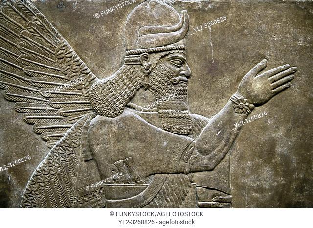 Assyrian relief sculpture panel of a protective spirit from Nimrud, Iraq. 865-860 B. C North West Palace, Room Z. ref: British Museum Assyrian Archaeological...