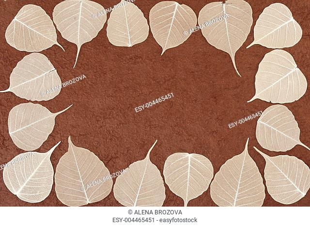 Skeletal leaves over brown handmade paper - frame
