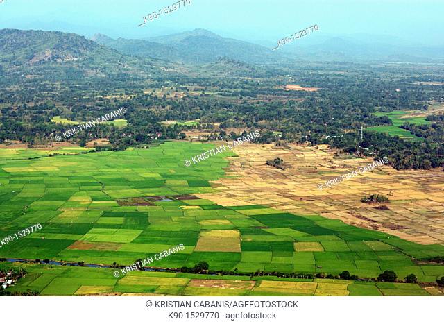 Aerial view of rural landscape with green rice fields, a small river and blue sky, Sulawesi, Indonesia, Southeast Asia