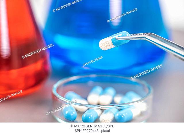 Scientist holding two-coloured medicine with tweezers above petri dish. Pharmaceutical research