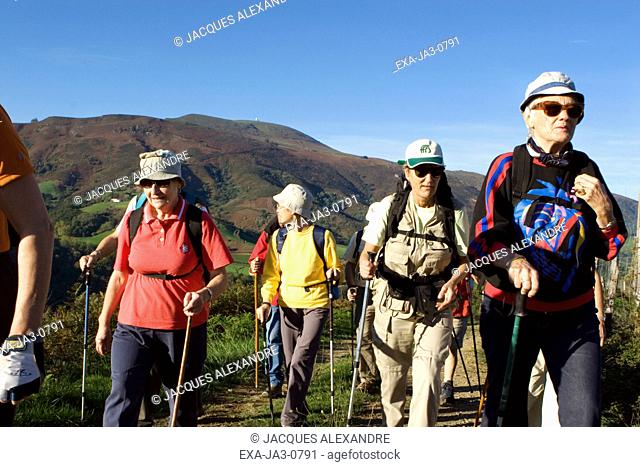 Group of seniors hiking with backpacks