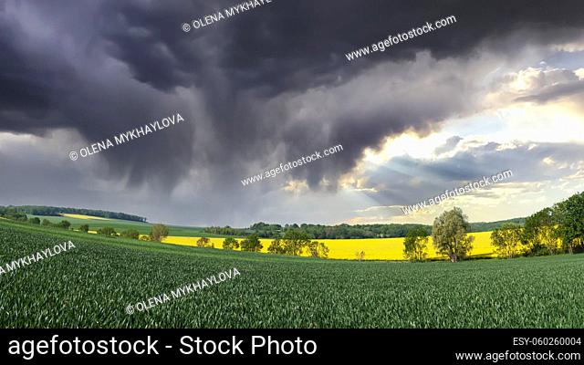 Countryside view at French corn and oilseed feelds under moody sky