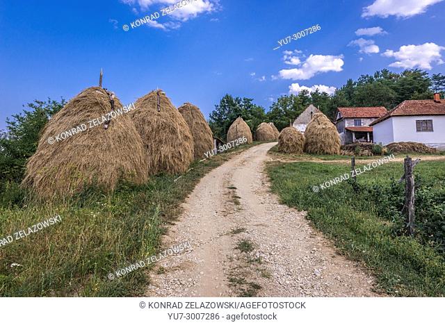 Small farm in mountainous area Lucani municipality, Moravica District of Serbia