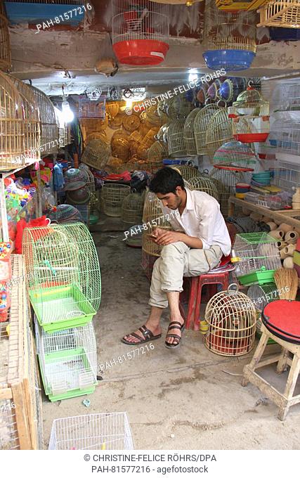 A merchant sits in his shop in the bird market in the old town of Kabul, Afghanistan, 09 June 2016. Around 150 small shops, some just openings in the wall