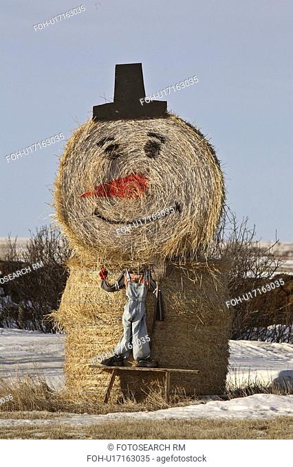 bales, winter, statue, hay