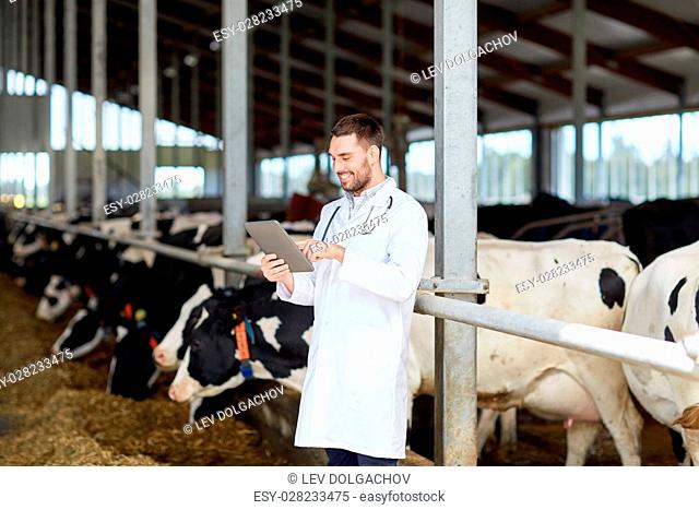 agriculture industry, farming, people and animal husbandry concept - veterinarian or doctor with tablet pc computer and herd of cows in cowshed on dairy farm