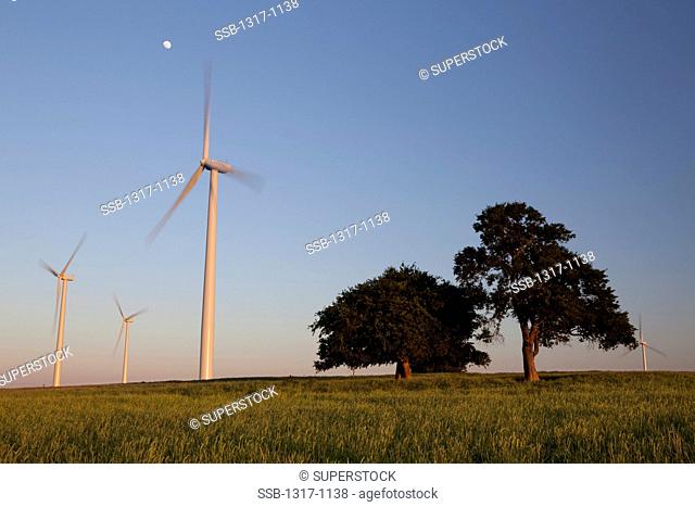 Wind turbines in a field, Texas, USA