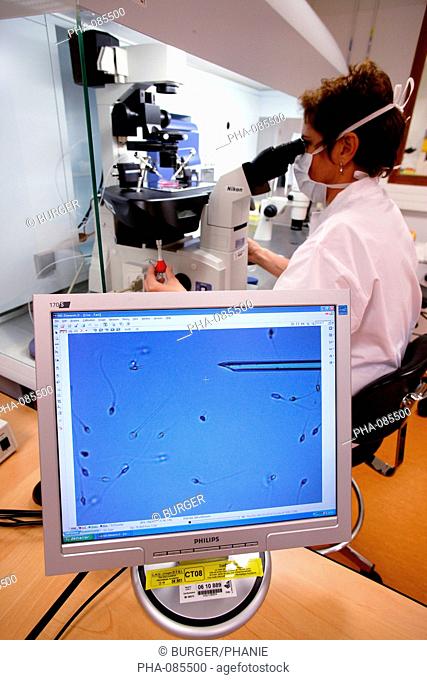 Technician using a light microscope to inject human sperm into a human egg cell ovum during in vitro fertilisation IVF. This technique is known as...