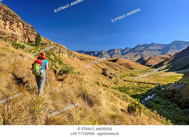 Woman hiking towards Carabineers Wall and Durnford, Giant's Castle, Drakensberg, uKhahlamba-Drakensberg Park, UNESCO World Heritage Site Maloti-Drakensberg-Park
