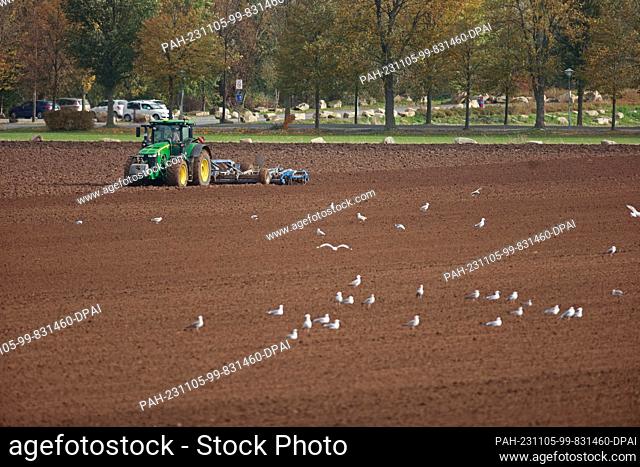 05 November 2023, Saxony-Anhalt, Derenburg: A farmer drills his field with a tractor. Farmers use the weather to prepare their fields for spring