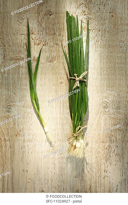 Spring onions on a wooden surface