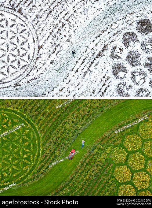 06 December 2023, Brandenburg, Jacobsdorf: KOMBO - The two-part image combo shows a very special meadow for insects by artist Michael Uy on 06.12