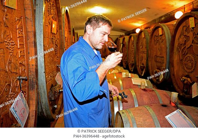 Cellarer Joerg Wiedemann smells a glass of red wine in the wine cellar of the winery Badische Winzerei in Breisaach, Germany, 21 January 2013