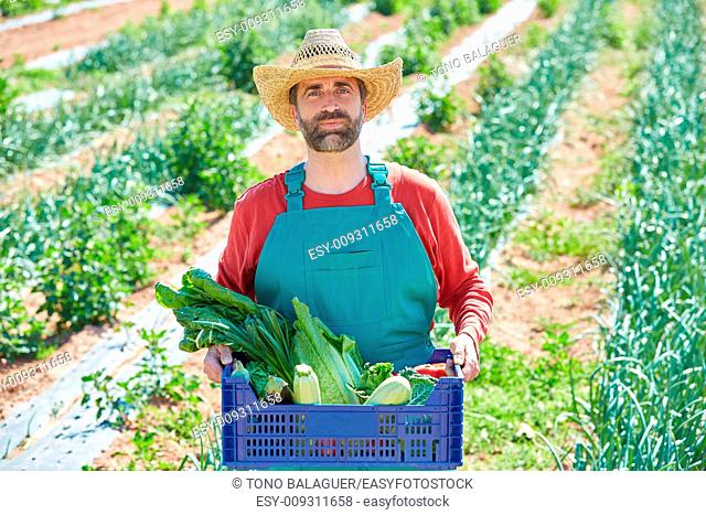 Farmer man harvesting vegetables in Mediterranean orchard field