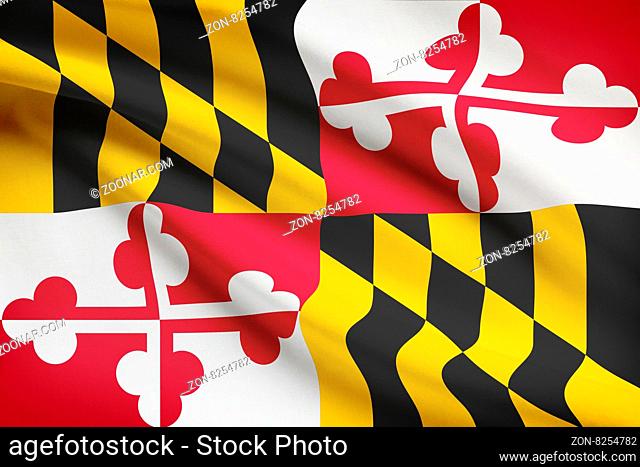 State of Maryland flag blowing in the wind. Part of a series