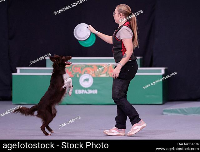 RUSSIA, MOSCOW REGION - NOVEMBER 19, 2023: An owner and a Border Collie dog are seen during a Freestyle Frisbee (flying disc) show as part of an exhibition show...