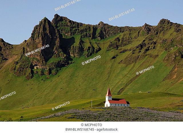 Red and white church surrounded by fields of lupins above the town of Vik, southern Iceland, Iceland, Vik