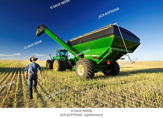 a man next to a tractor and grain wagon during the canola harvest, near Hodgeville, Saskatchewan, Canada