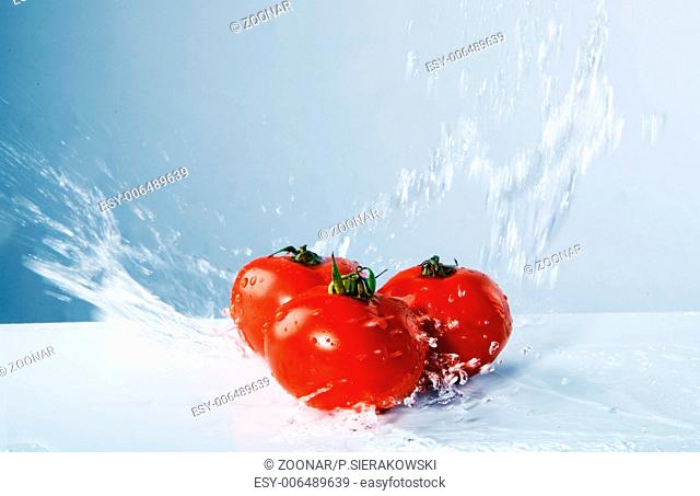 Juicy tomatoes thrown water
