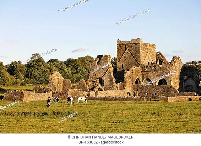 Hore Abbey, Cashel, Tipperary, Ireland